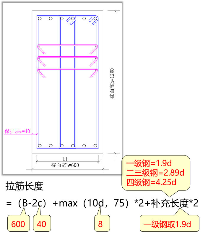 梁拉筋长度图片