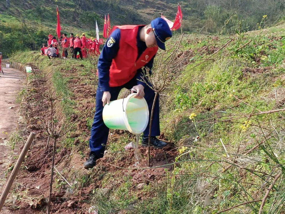 植樹正當時涪陵區各級團組織開展植樹節志願服務活動