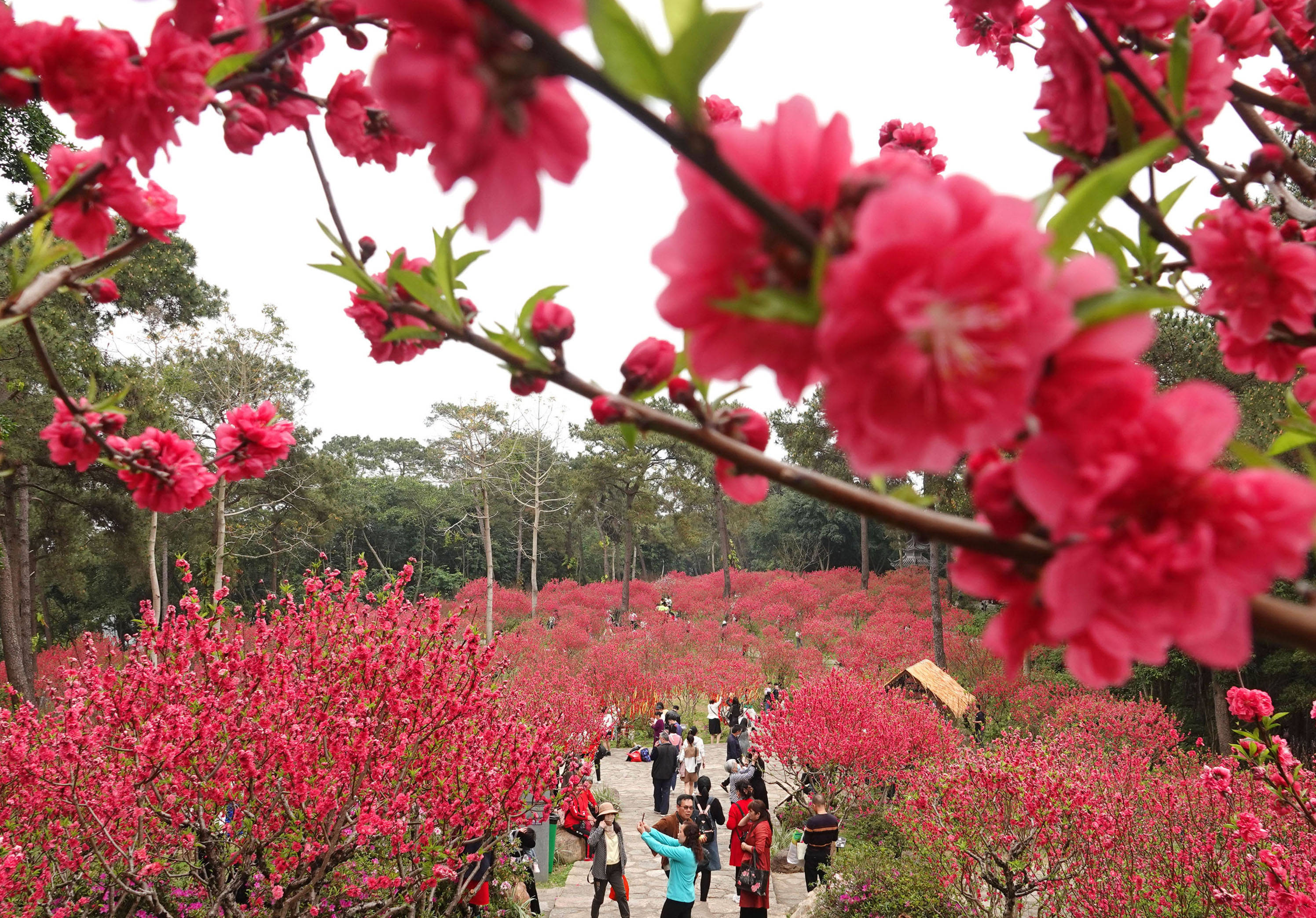 贵州省|多彩之春