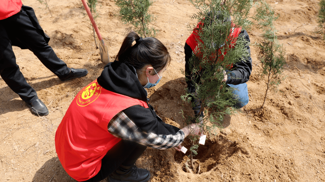 文明总行动树写春天的故事这一波绿色行动植了