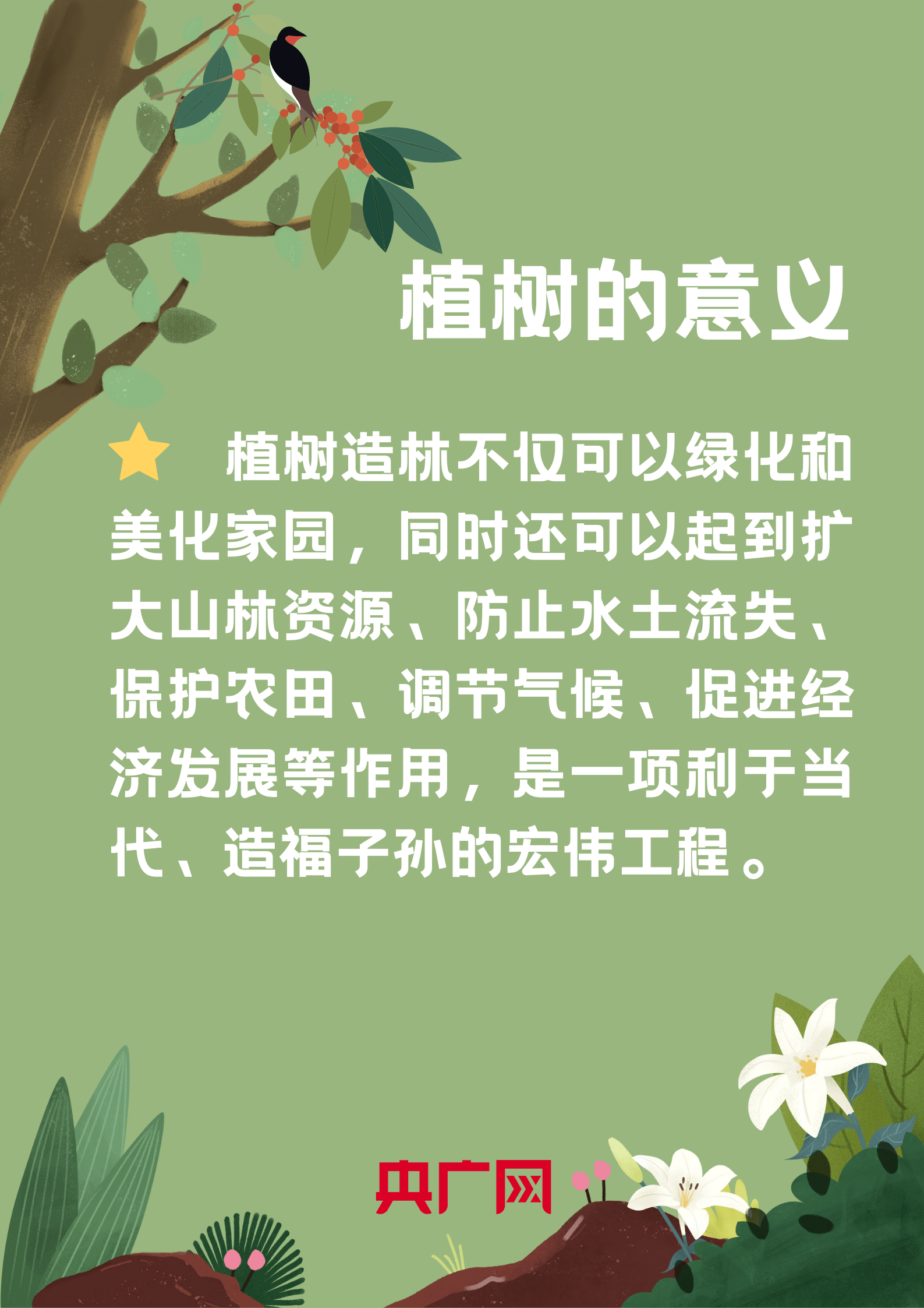 为什么有植树节图片