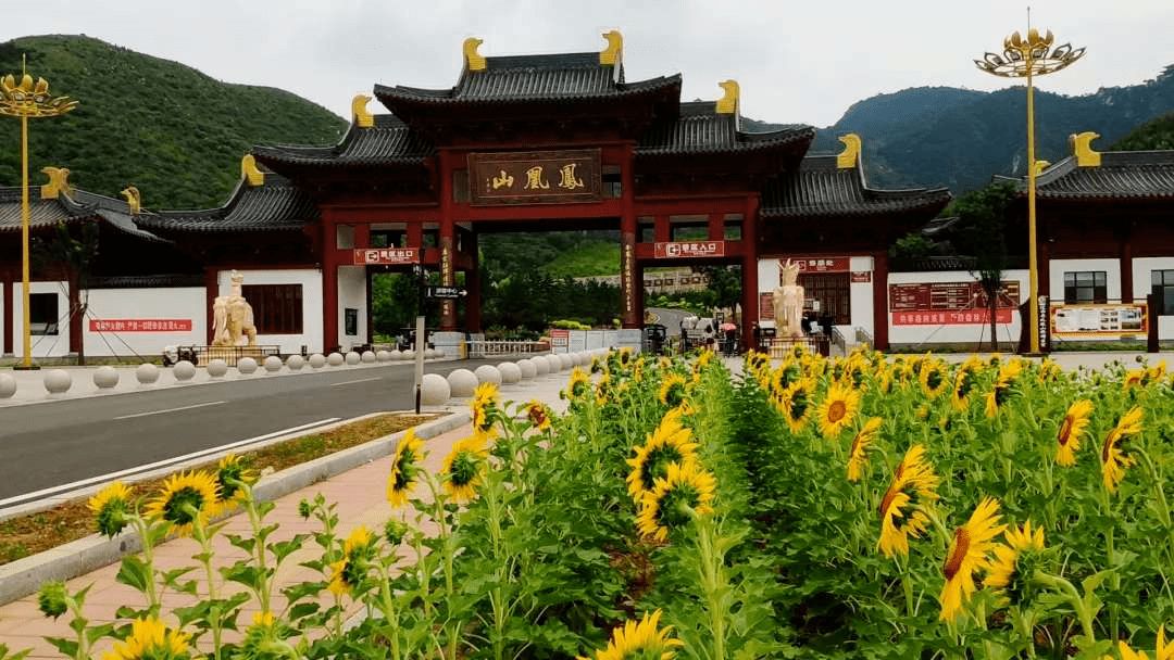 看完就知道了!_景區_人流_通告