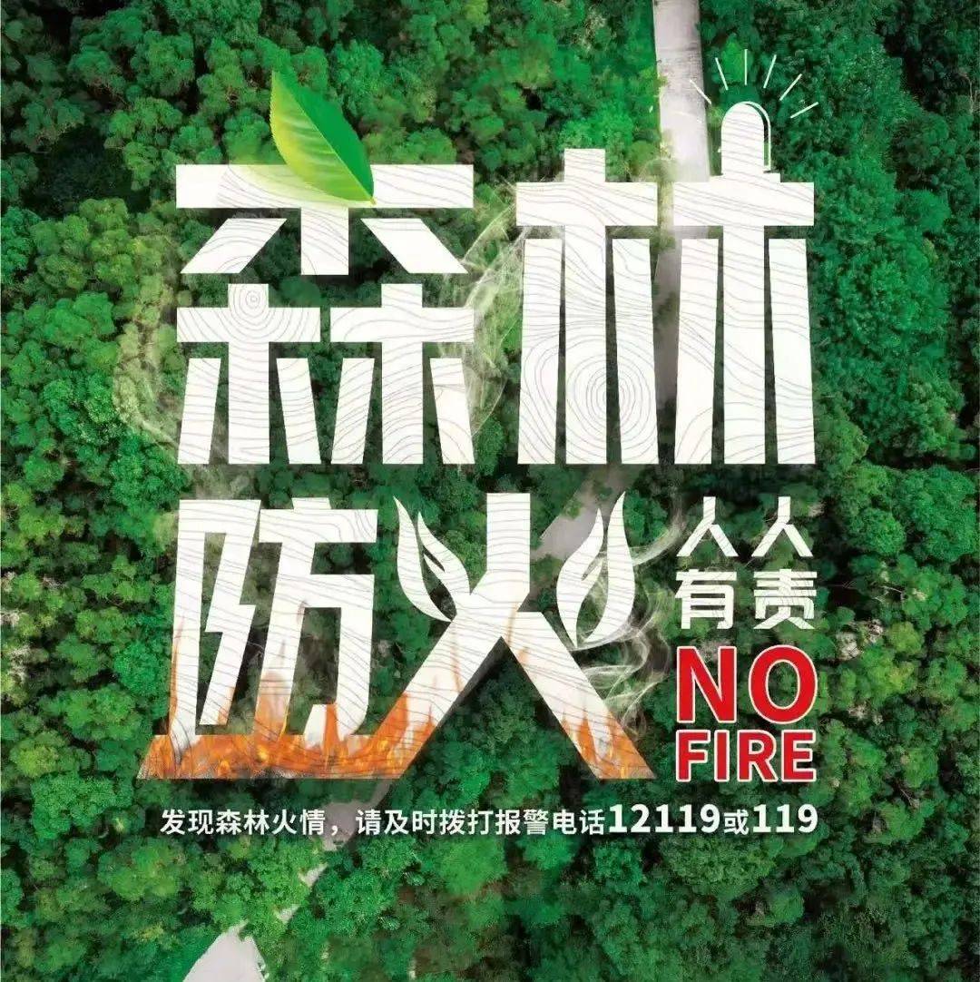 植树节，携手种下平安树，保护森林一起来！_火灾_防火_北京