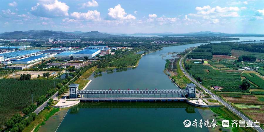 临沂市蒙阴县开展义务植树活动为大地增绿添彩