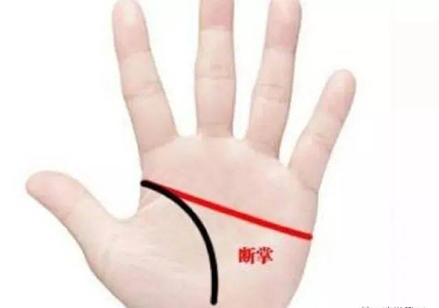 天生老板命的手相_掌纹_领导_方面