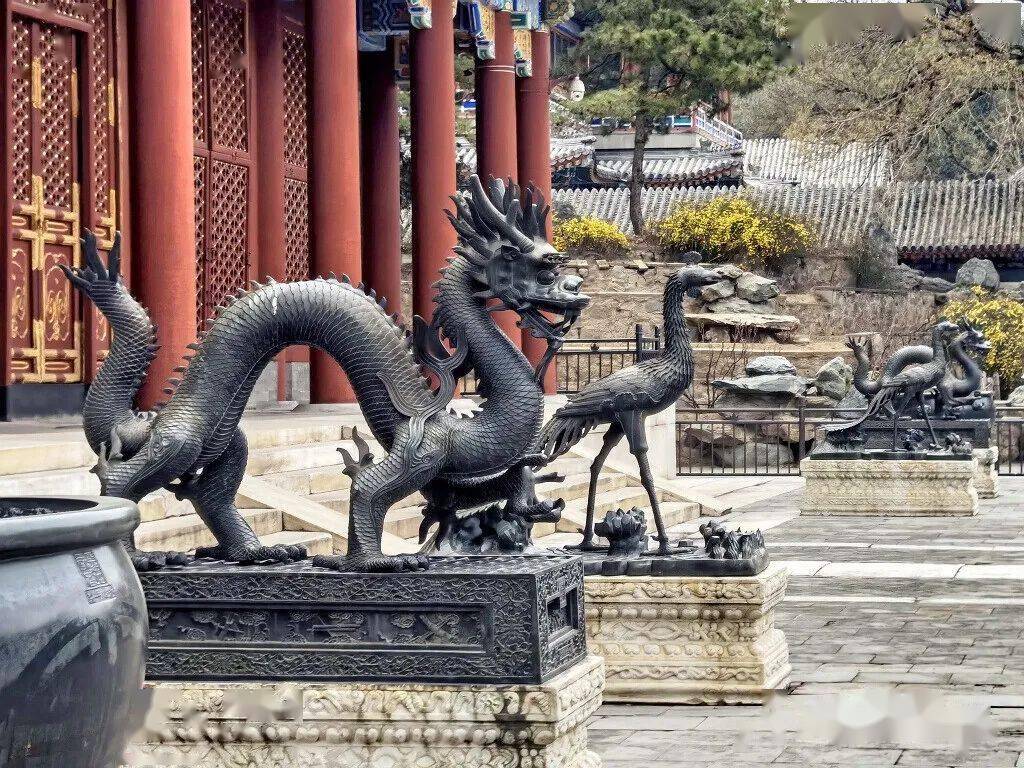 春到颐和园_木牌楼_文昌阁_仁寿殿