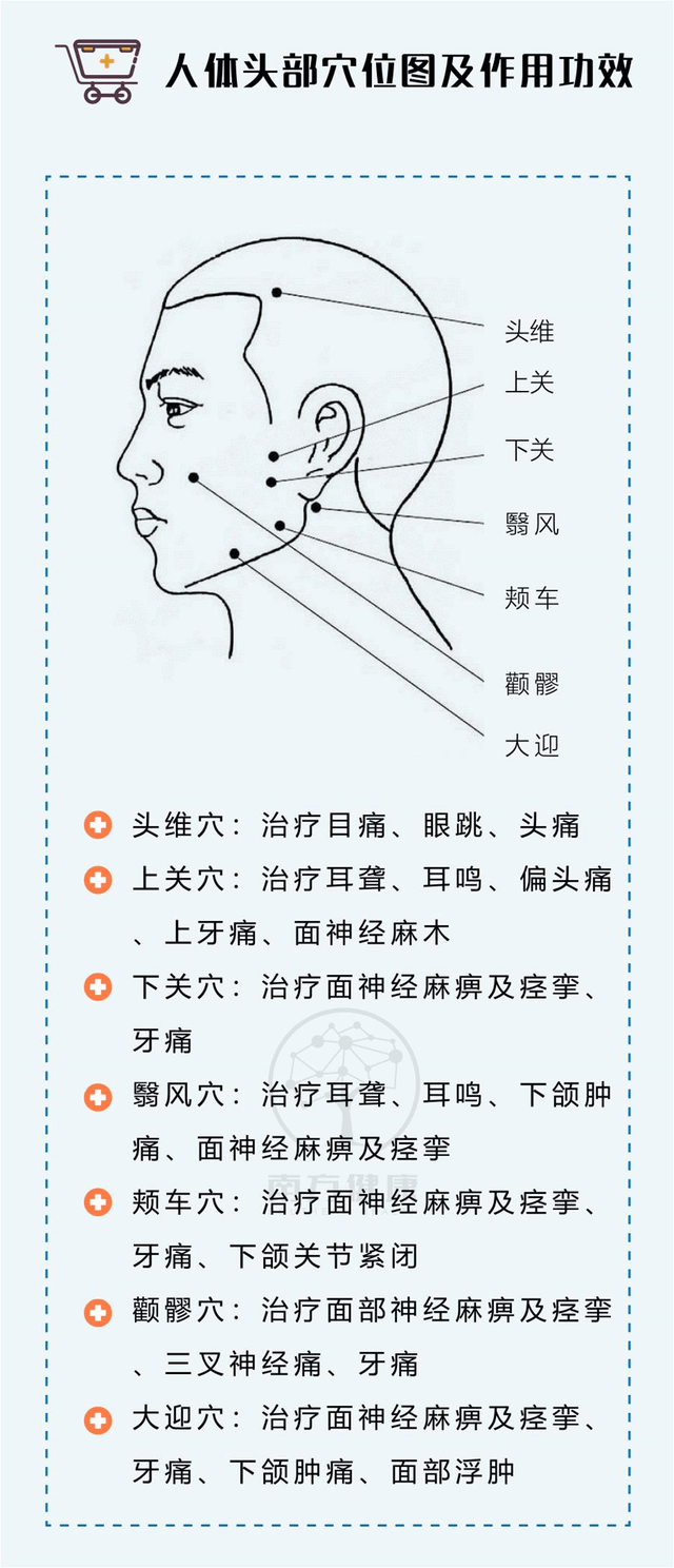 阴维脉的循行路线图图片