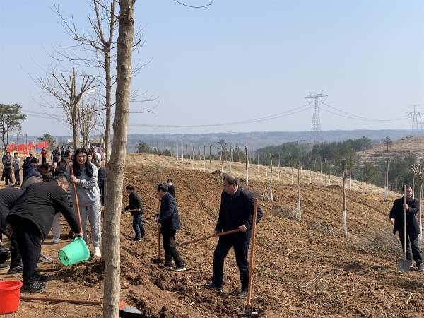 桐柏县吴城镇开展春季全民义务植树活动