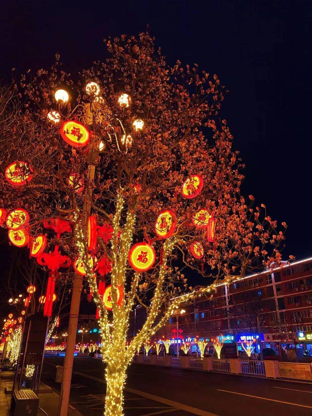 玉兰花开春意正当时我在密云鼓楼大街等你约吗