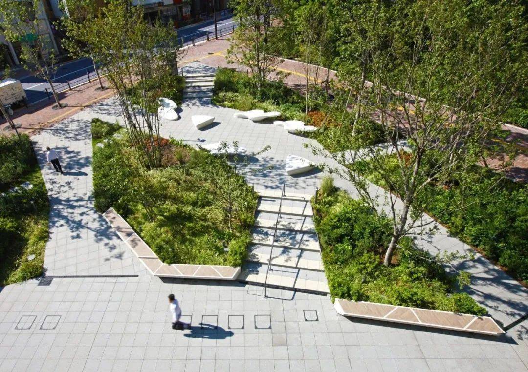 干货丨公共空间的树池类绿化营造