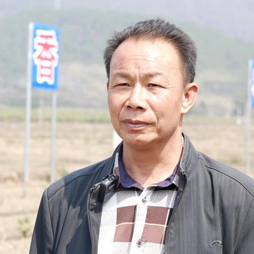 广西钟山春耕工作忙香芋种植促增收