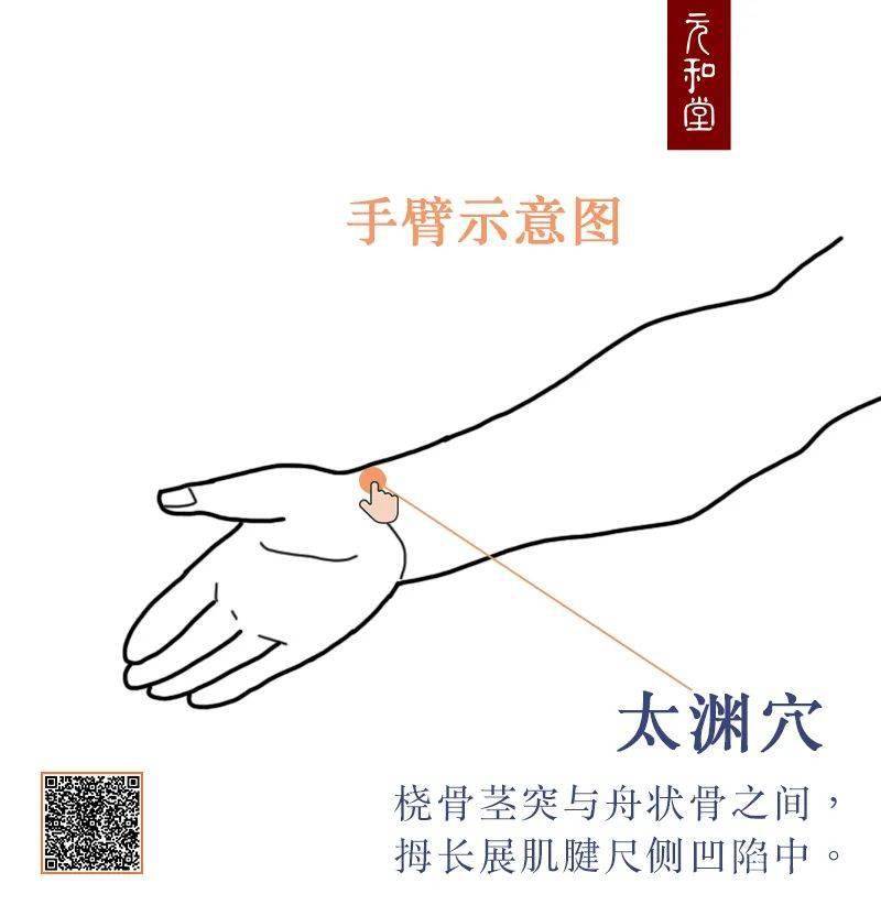 孔最穴:位于前臂掌面桡侧,当尺泽与太渊连线上,腕横纹上7寸.