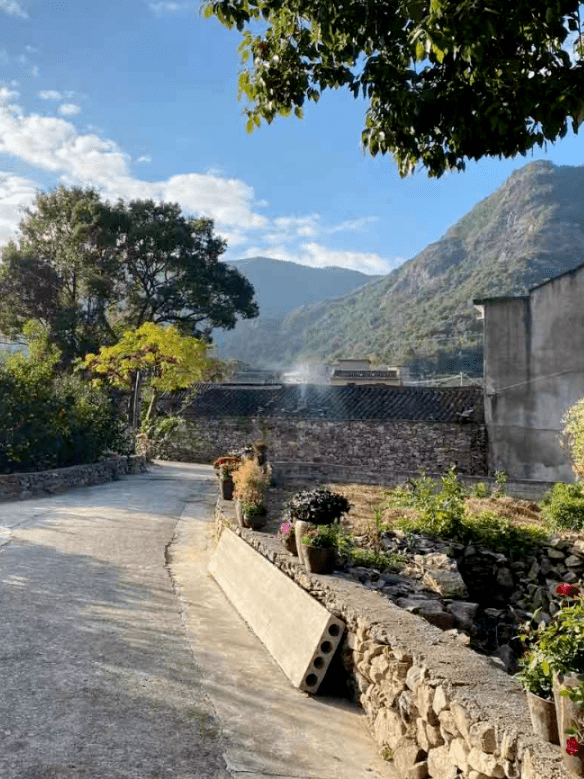 美丽庭院美美与共走进象山鹤浦镇小百丈村文旅百丈美丽庭院特色带