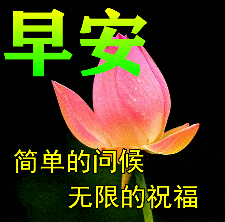 3月14日早上好祝福语图片大全问候动态表情图片大全