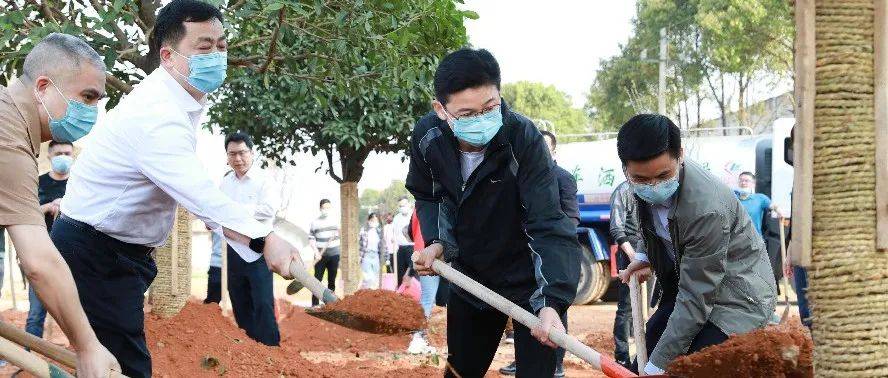 常德市开展2022年义务植树活动_绿化_曹志强_生态
