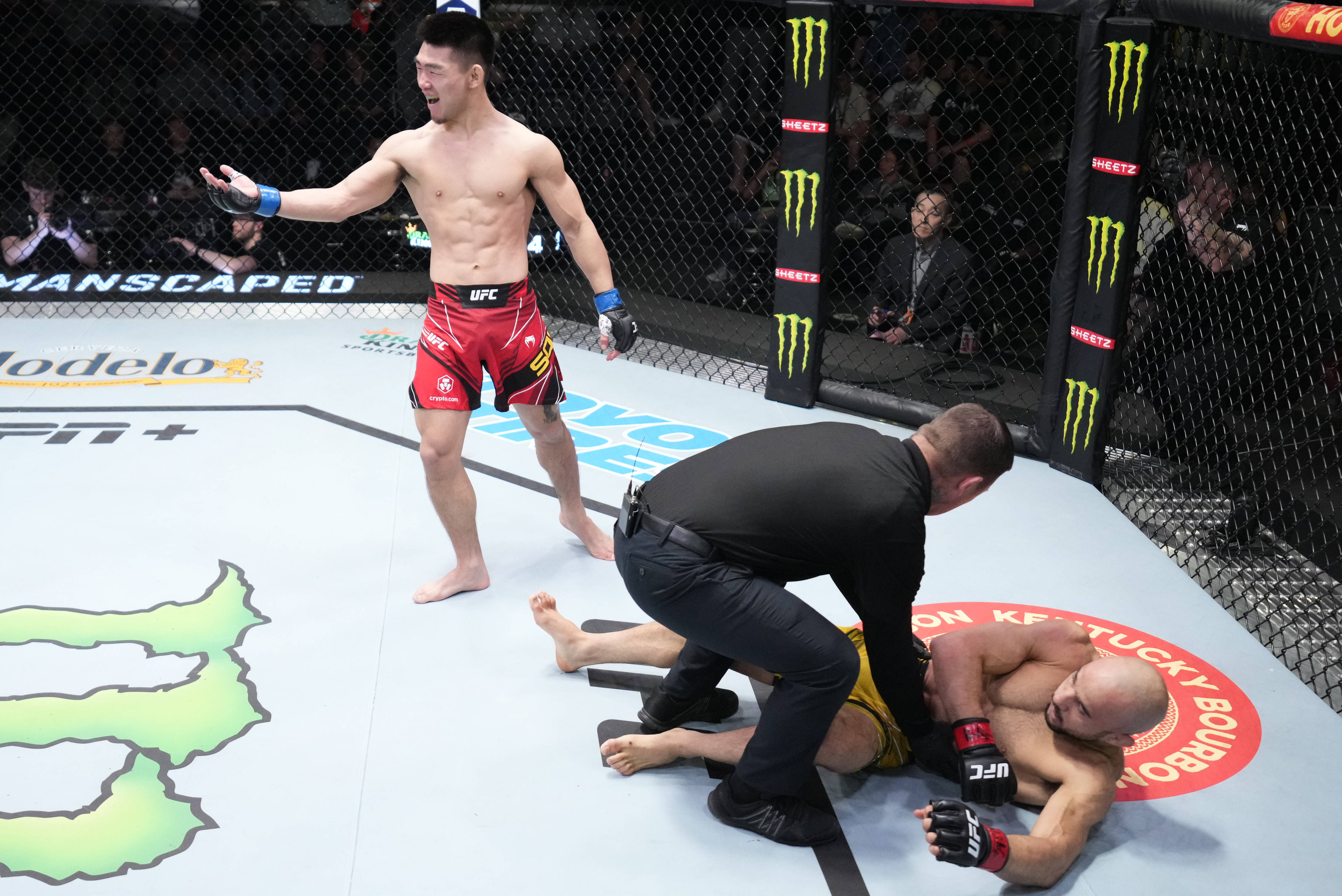 中国|对话｜126秒击倒对手，UFC排名前十，宋亚东有个大梦想