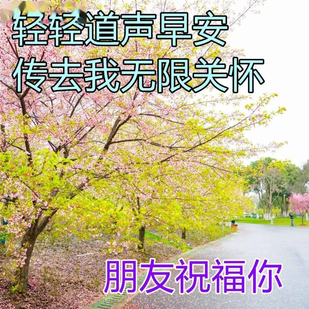 3月14日最漂亮的早上好动态表情图片大全早上好问候语句子
