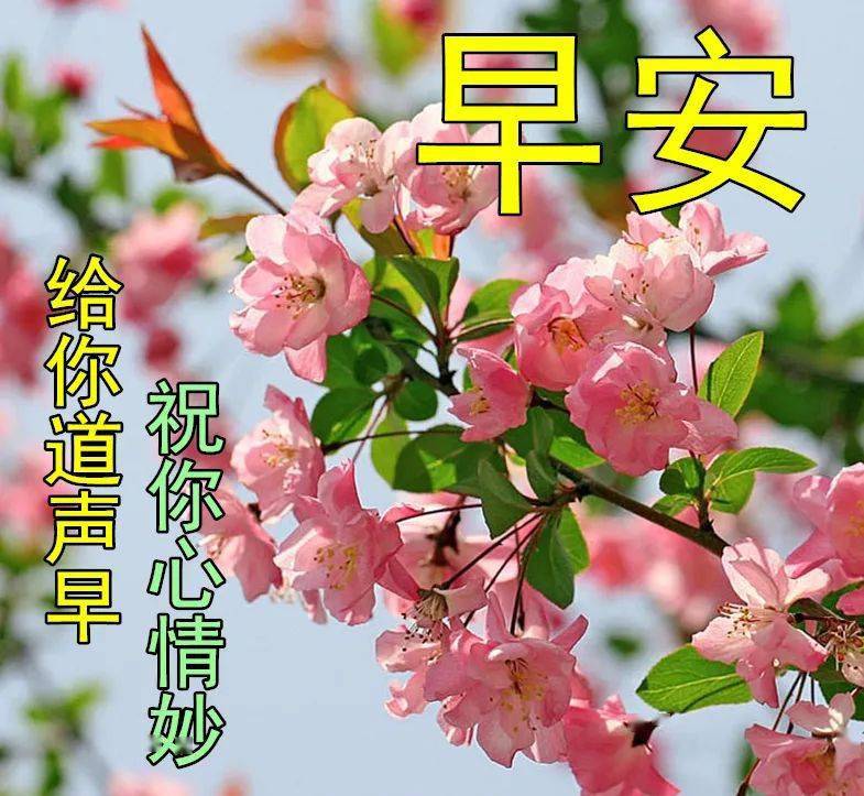 3月14日早上好祝福语图片大全问候动态表情图片大全