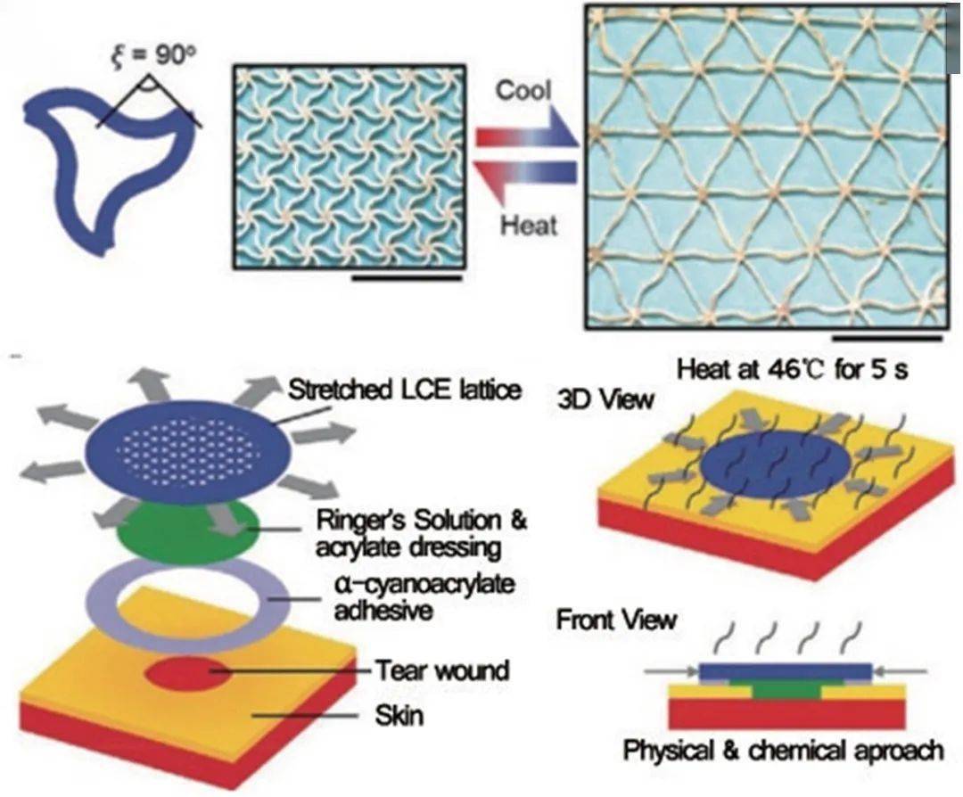 机械超材料正在成为新材料的主角_结构_力学_形状记忆