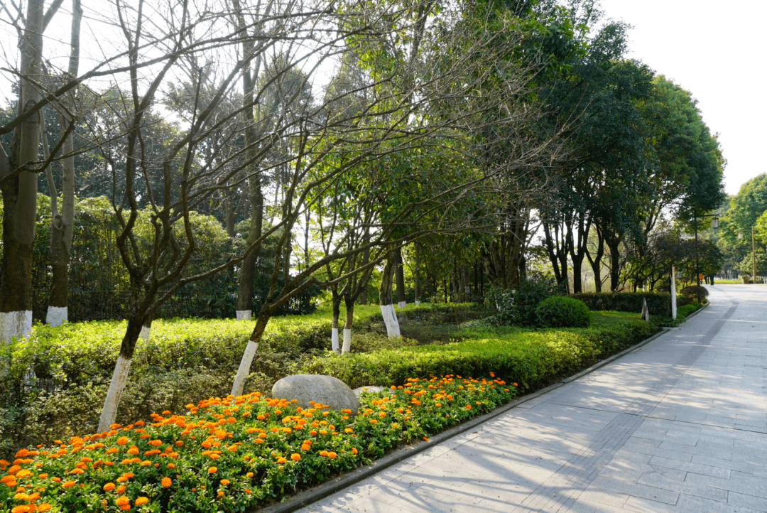 友杰打造鸿恩寺公园全民健身正式上线