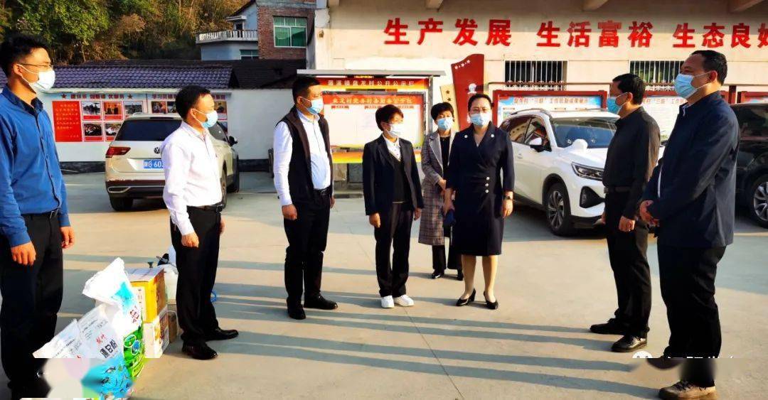 汉阴县委书记刘飞霞到蒲溪镇调研督导疫情防控工作