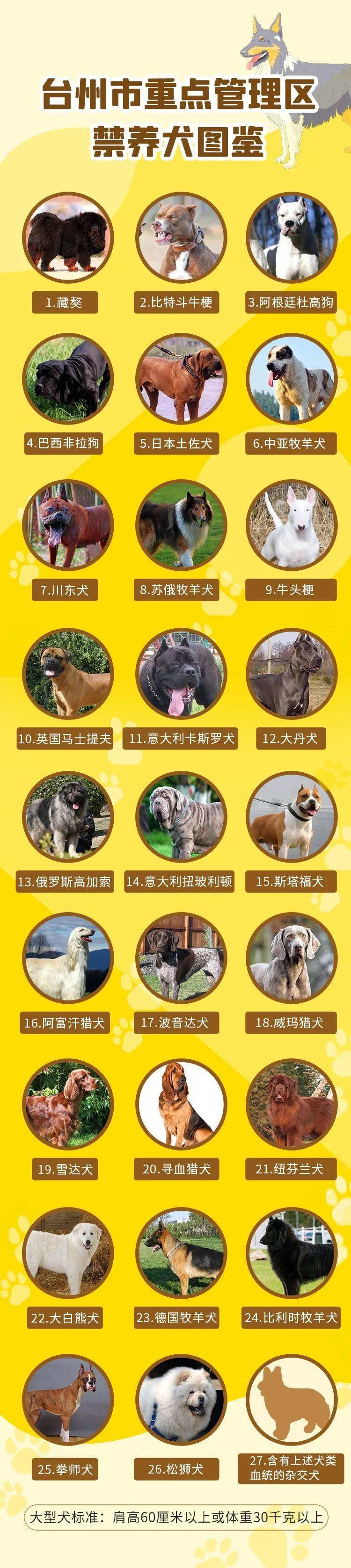 事關養犬5月1日開始實施你的意見很重要