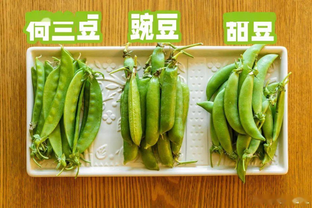 而甜豆其实是豌豆和荷兰豆的杂交品种,形状上和豌豆相似,但豆荚的弯曲