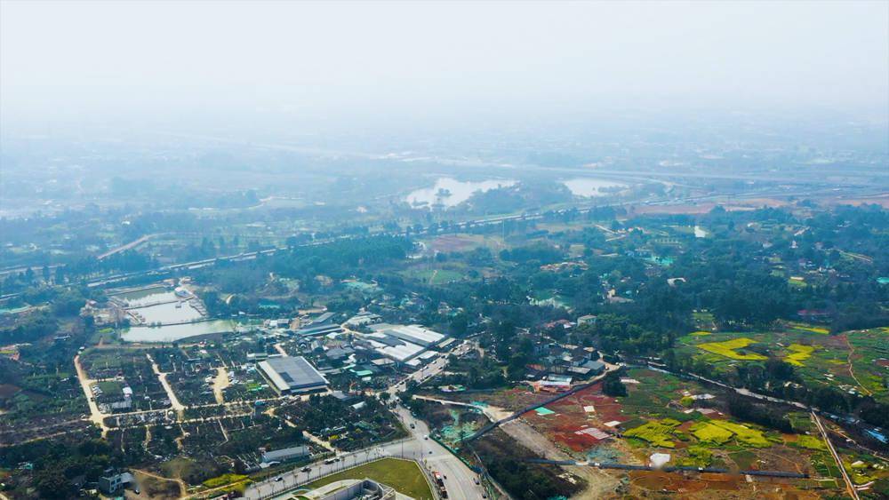 新品入市三圣乡109亩天花板项目即将亮相主推高层合院