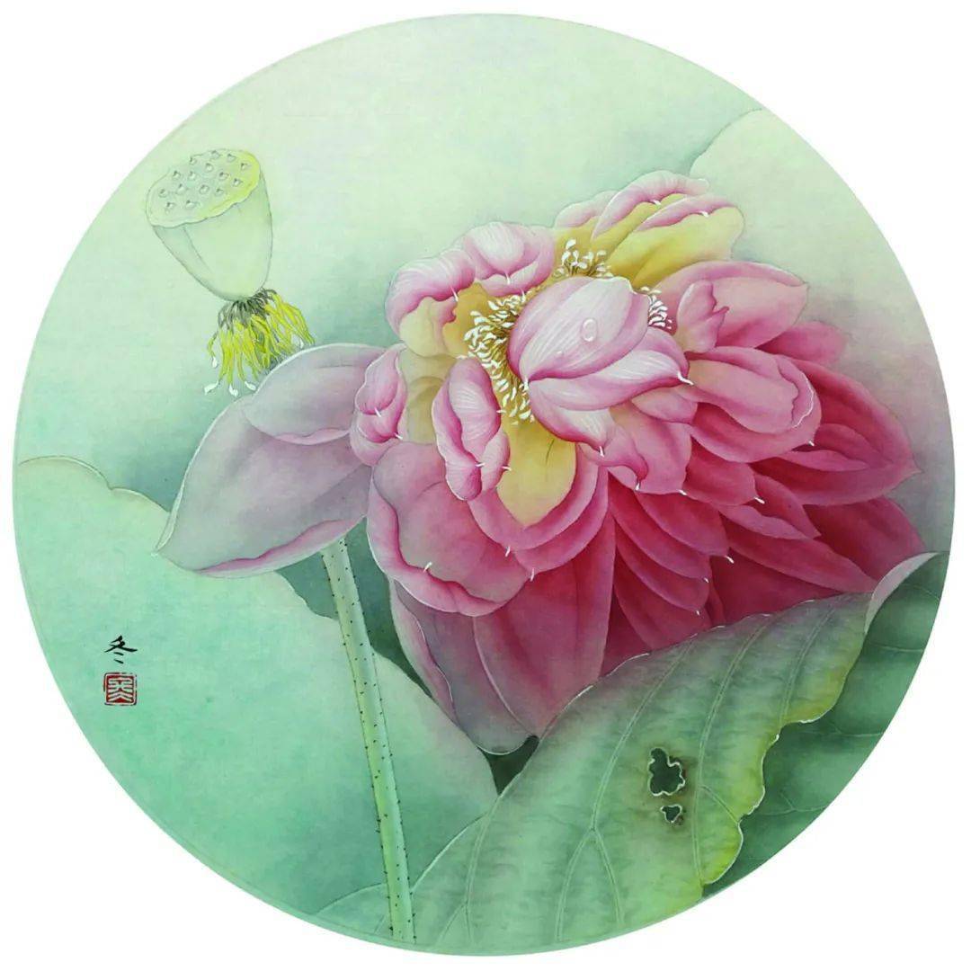 图文教程 | 工笔画荷花【美怜】的绘制步骤说明_花瓣_荷叶_花蕊