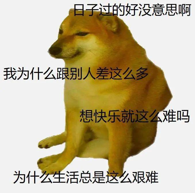 刷屏幾億人表情包的柴犬cheems正成為下一個doge