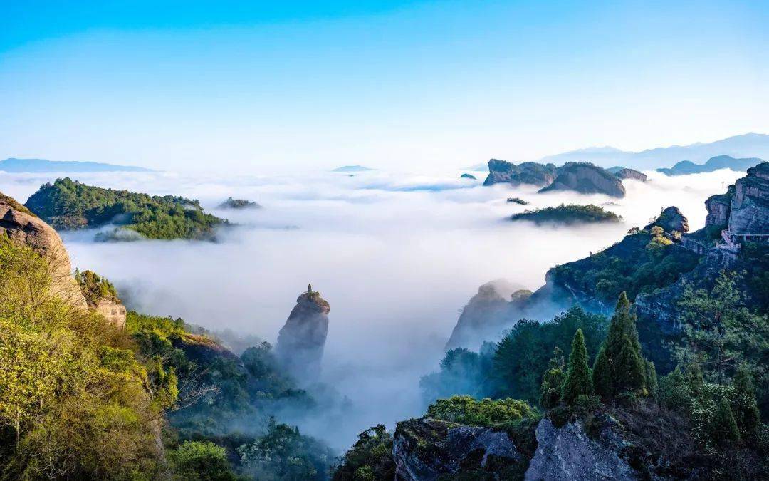 这里藏着中国最美的一柱擎天冠豸山生命之根