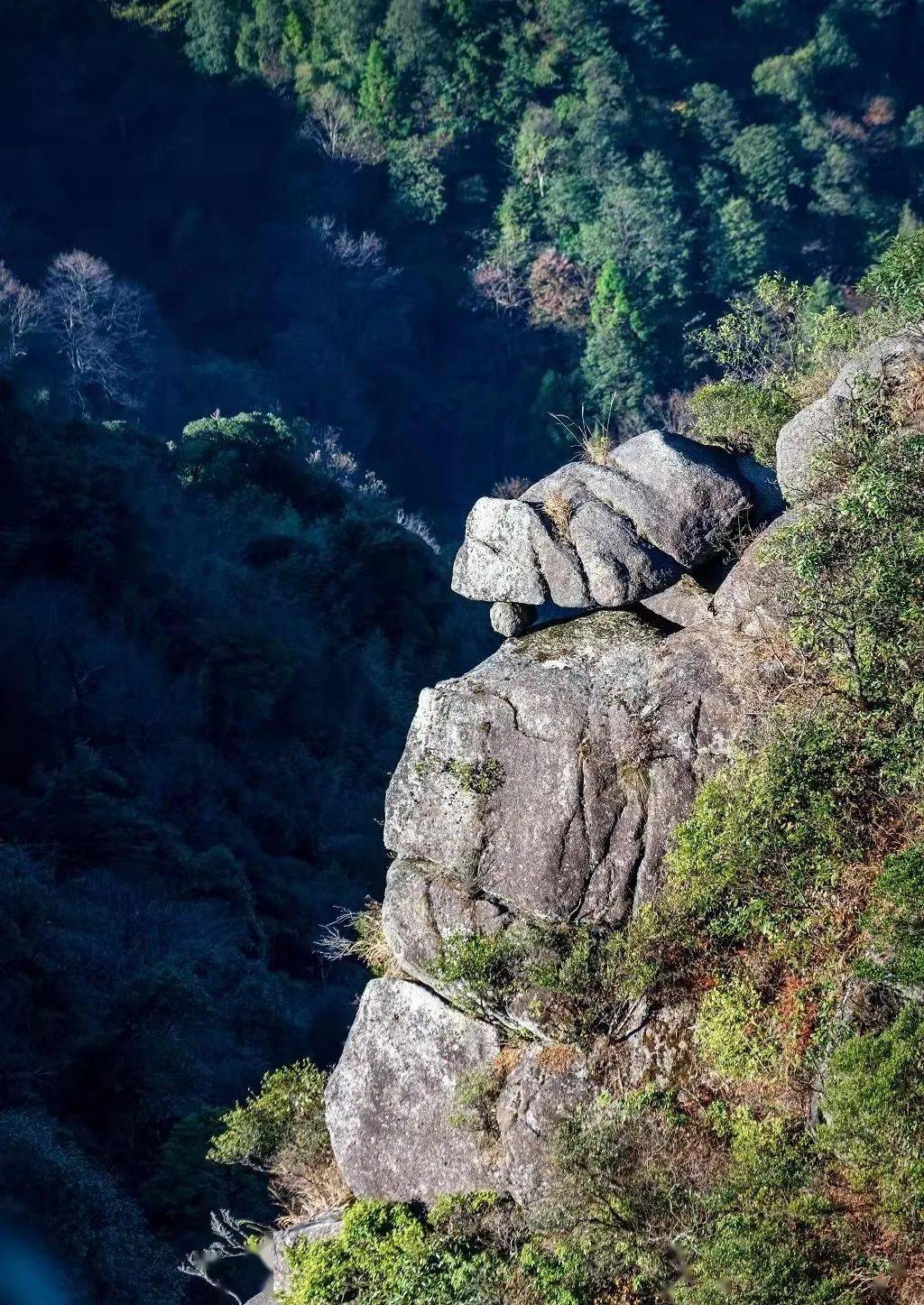 天然氧吧——醉美牙梳山_源村_广昌县_杜鹃花