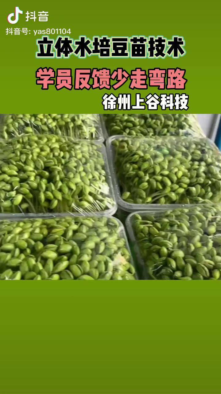 芽苗菜黑豆苗在家里就能干招募合伙人2022新农人计划优质农产品