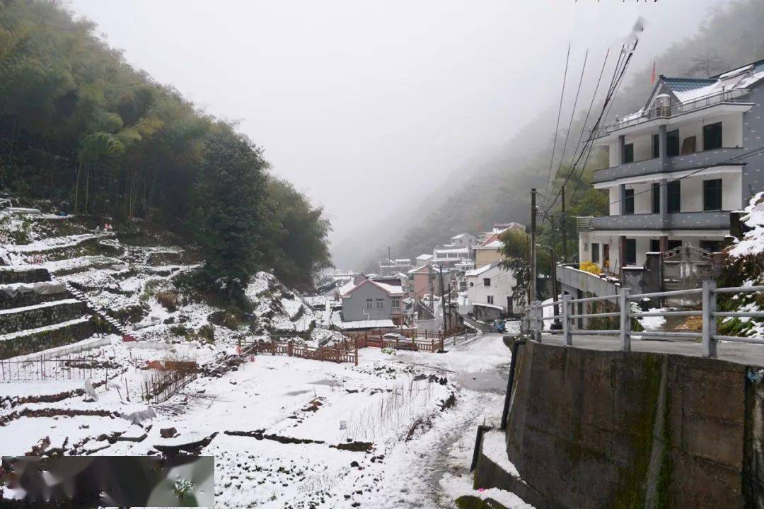 了《戴村镇骆家舍村地质灾害避让搬迁安置政策实施细则(征求意见稿)