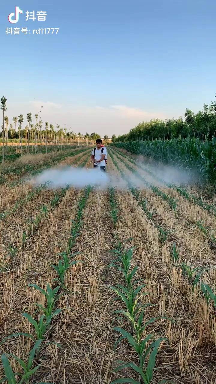 玉米苗前苗后除草封底打药神器全新升级919用喷枪能喷10米的打药机
