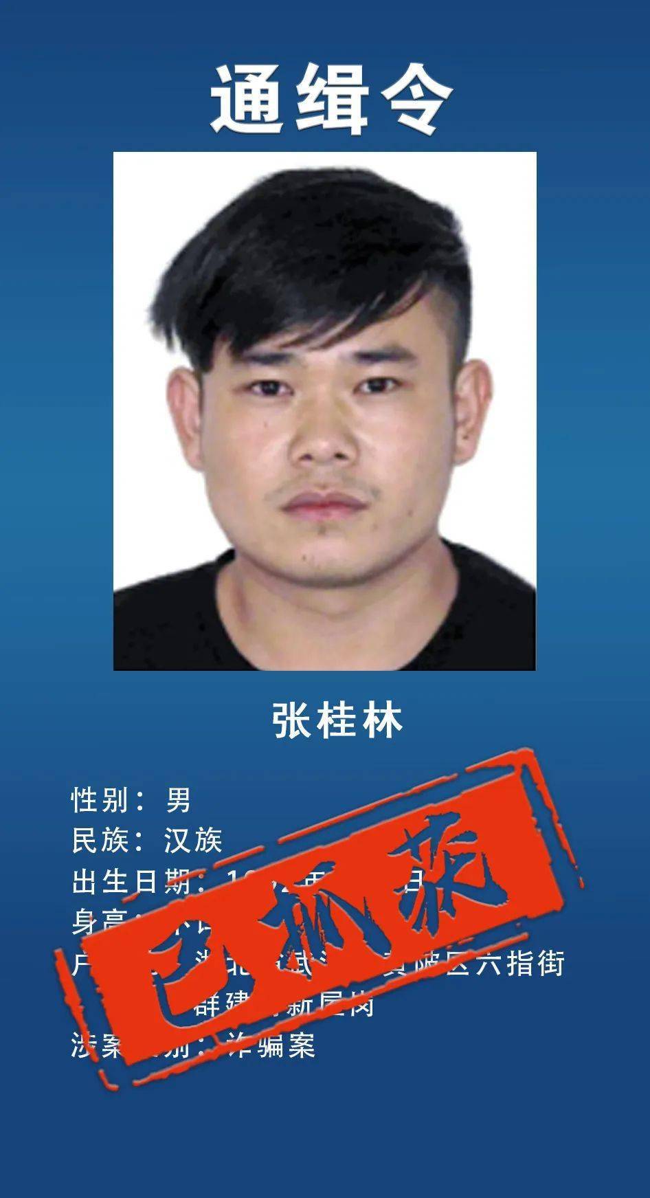 重磅通缉令发出不到48小时7人归案