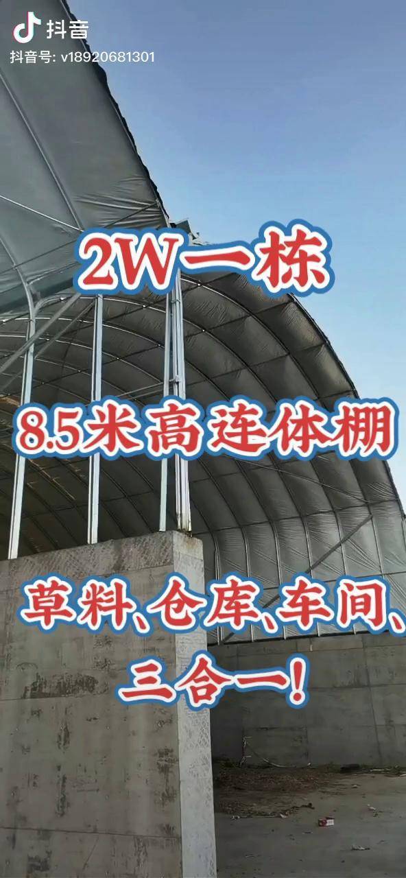 85米仓库棚仓库棚草料棚车间大棚