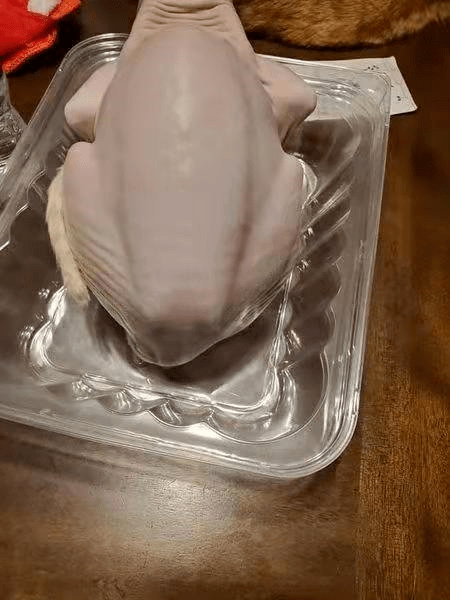 第二张图,什么鬼,是白切猫?第一张图,我知道,是白切鸡!