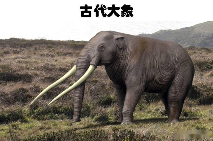 地球上曾经存在过的5大史前生物