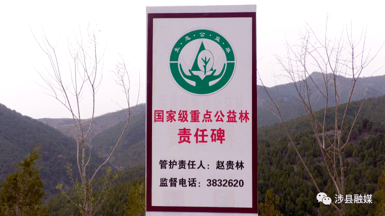 守护森林安全,构建涉县森林"防火墙"