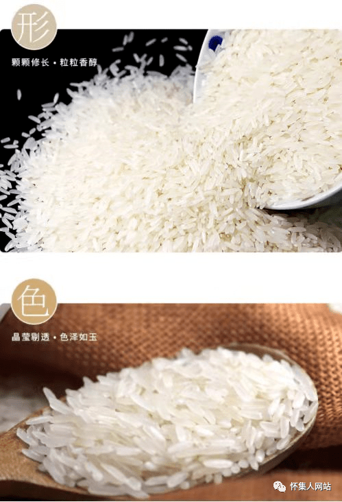 怀集丝苗米10斤装仅40元饭香浓郁自然好味道