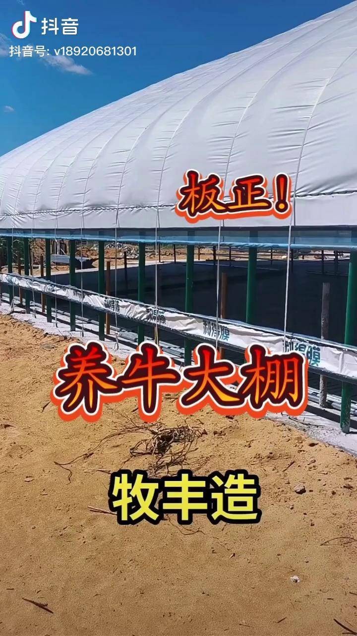 养牛大棚建设图片 养殖大棚生产厂家及价格表
