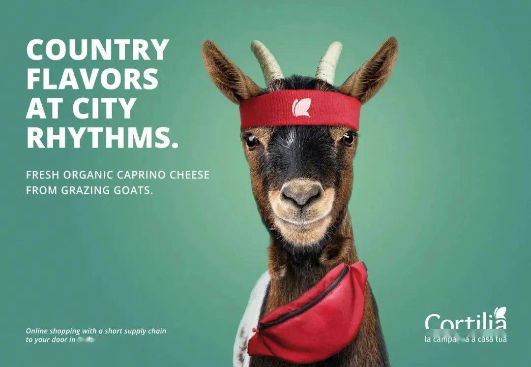 20组平面广告海报设计,简直是神仙创意!