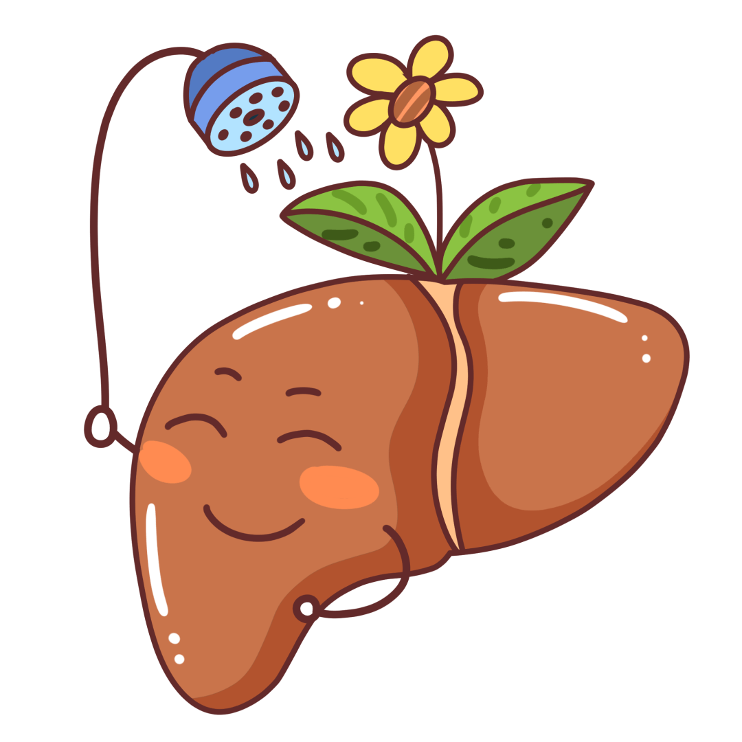 菊花|春季这样吃，养肝护脾胃