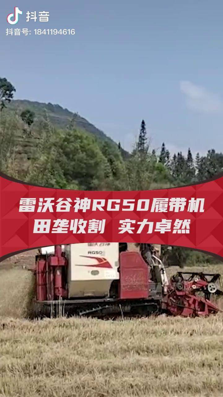 雷沃谷神rg50履带机 田垄收割 实力卓然!