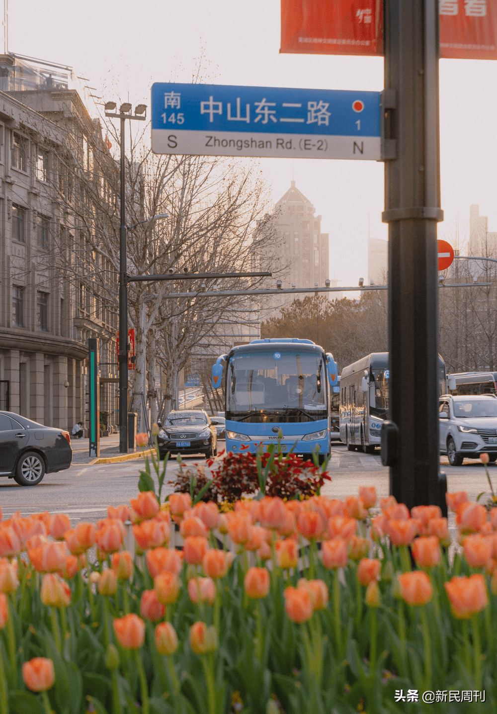 品种|寻物丨春光正好，一起来“云”赏花吧