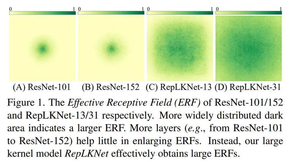 大到31x31的超大卷积核，涨点又高效，一作解读RepLKNet