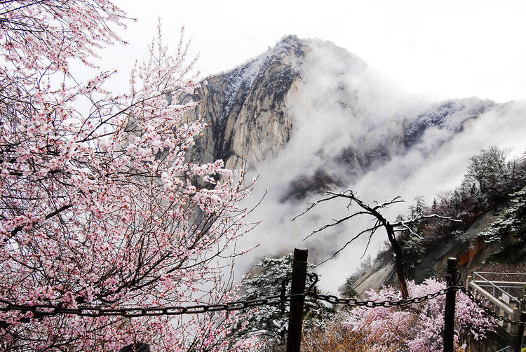 气息|陕西渭南：春已至 静看山间繁华