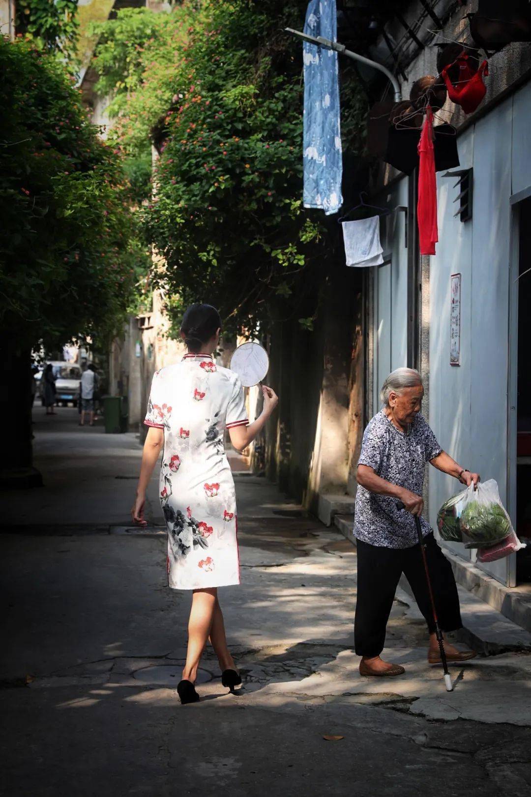 林庆平福建-林庆平福建-耿丽东川-张玉民北京-王自华北京-偶尔散散步