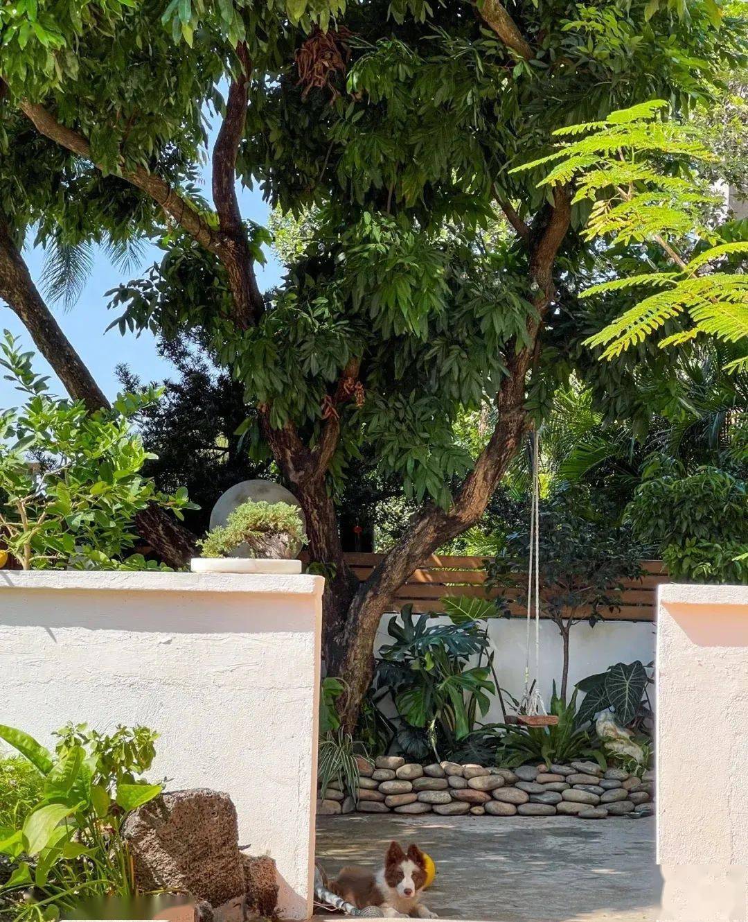 广州二胎妈妈改造190㎡独栋别墅170㎡院子摘果捞鱼看露天电影羡煞旁人